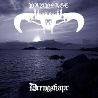 Panphage - Drengskapr vinyl cover