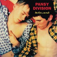 Pansy Division - Deflowered vinyl cover