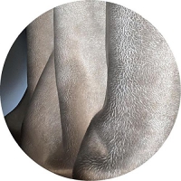 Panthera Krause - Cloud Cake vinyl cover