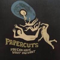 Papercuts - You Can Have What You Want vinyl cover