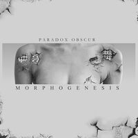 Paradox Obscur - Morphogenesis vinyl cover