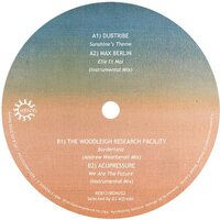 Paraiso: The True Spirit of Ibiza: Bonus Sampler 2 - Paraiso: The True Spirit Of Ibiza: Bonus Sampler 2 vinyl cover