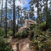 Parajekt - Parajekt vinyl cover