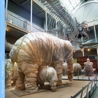 Parc En Ciel - Path Integral vinyl cover