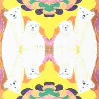 Parekh & Singh - Ghost / Hill & Secrets vinyl cover
