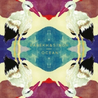Parekh & Singh - Ocean vinyl cover