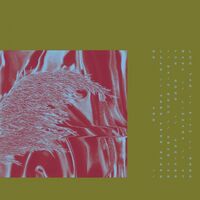 Pariah - Here From Where We Are vinyl cover