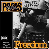 Paris - Freedom vinyl cover