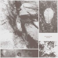 Park Jiha - All Living Things vinyl cover