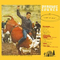 Parquet Courts - Light Up Gold vinyl cover
