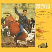 Parquet Courts - Light Up Gold vinyl cover