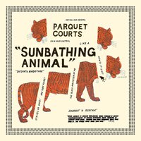Parquet Courts - Sunbathing Animal vinyl cover