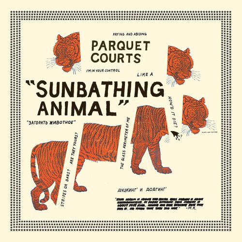 Parquet Courts - Sunbathing Animal vinyl cover