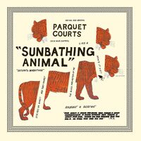 Parquet Courts - Sunbathing Animal vinyl cover