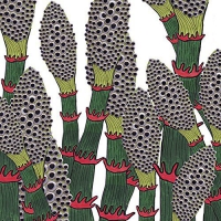Part Chimp - Iv vinyl cover