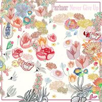 Partner - Never Give Up vinyl cover