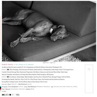 Party Milk - Your Problem vinyl cover