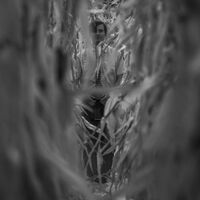 Pat Keen - Cells Remain vinyl cover