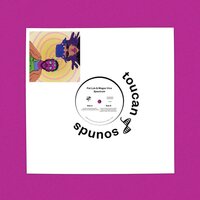 Pat Lok - Spectrum vinyl cover