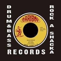 Pat & Roxie - Way Of Fortune vinyl cover