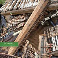 Pat Van Dyke - Falls To Piece vinyl cover