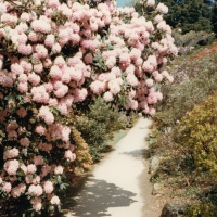 Patricia - Bern Inventory vinyl cover