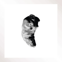 Patricia - Several Shades Of The Same Color Part 2 vinyl cover