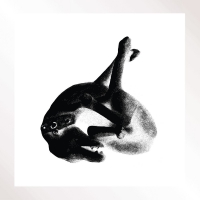 Patricia - Several Shades Of The Same Color Part 3 vinyl cover