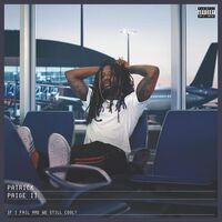 Patrick Paige II - If I Fail Are We Still Cool? vinyl cover