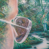 Paul / Lightdreams Marcano - 10,001 Dreams vinyl cover