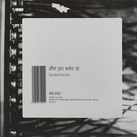Pay Money to My Pain - After You Wake Up vinyl cover