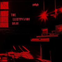 Pdqb - The Electrifying Dojo vinyl cover