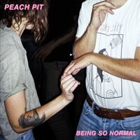 Peach Pit - Being So Normal vinyl cover