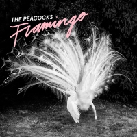 Peacocks - Flamingo vinyl cover