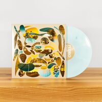 Pedro the Lion - Havasu vinyl cover