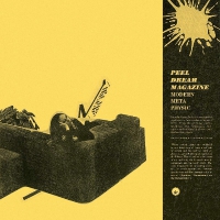 Peel Dream Magazine - Modern Meta Physic vinyl cover