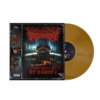 PeelingFlesh - PF Radio 2 (Gold) vinyl cover