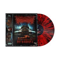 PeelingFlesh - PF Radio 2 vinyl cover