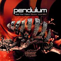 Pendulum - Hold Your Colour Bipolar Vocal Mix vinyl cover