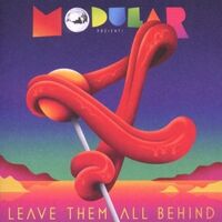 Penelopes - Leave Them All Behind vinyl cover