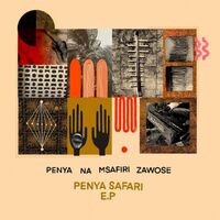 Penya Na Msafiri Zawose - Penya Safari vinyl cover
