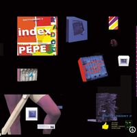 Pepe Bradock - Dactylonomy II vinyl cover