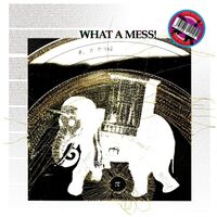Pepe Bradock - What A Mess vinyl cover