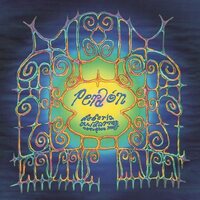 Perdon - Deberia Cuidarme Un Poco Mas vinyl cover