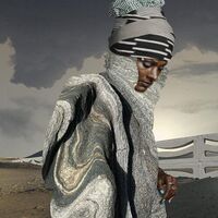 Perera Elsewhere - Home vinyl cover