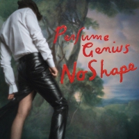 Perfume Genius - No Shape vinyl cover
