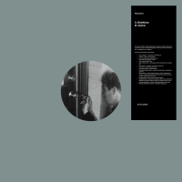 Pessimist - Balaklava vinyl cover