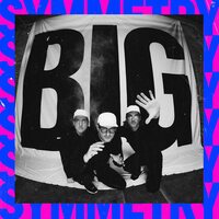 Pet Symmetry - Big Symmetry vinyl cover