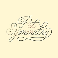 Pet Symmetry - Vision vinyl cover