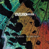 Petar Dundov - Falling In vinyl cover